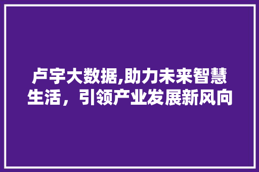 卢宇大数据,助力未来智慧生活，引领产业发展新风向