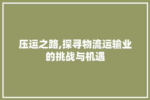 压运之路,探寻物流运输业的挑战与机遇