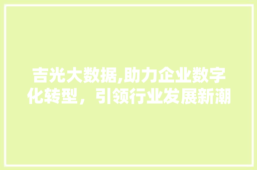 吉光大数据,助力企业数字化转型，引领行业发展新潮流