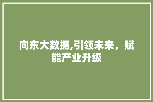 向东大数据,引领未来，赋能产业升级 AI技术学习