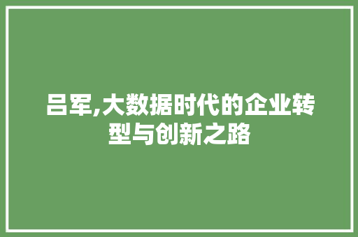 吕军,大数据时代的企业转型与创新之路