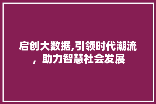 启创大数据,引领时代潮流，助力智慧社会发展 头条优化