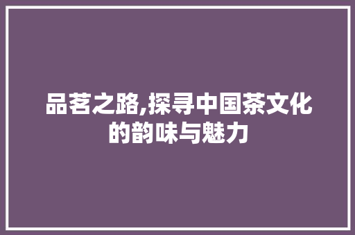 品茗之路,探寻中国茶文化的韵味与魅力