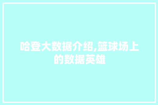 哈登大数据介绍,篮球场上的数据英雄