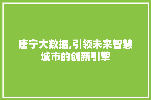 唐宁大数据,引领未来智慧城市的创新引擎 seo技术