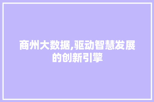 商州大数据,驱动智慧发展的创新引擎