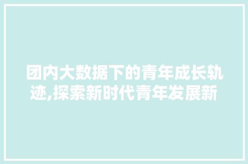 团内大数据下的青年成长轨迹,探索新时代青年发展新路径
