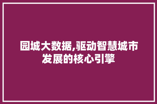 园城大数据,驱动智慧城市发展的核心引擎 小程序开发