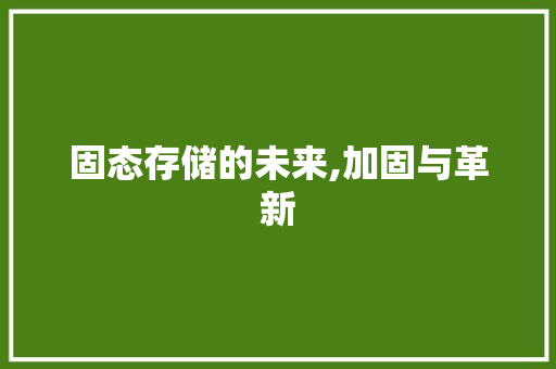 固态存储的未来,加固与革新