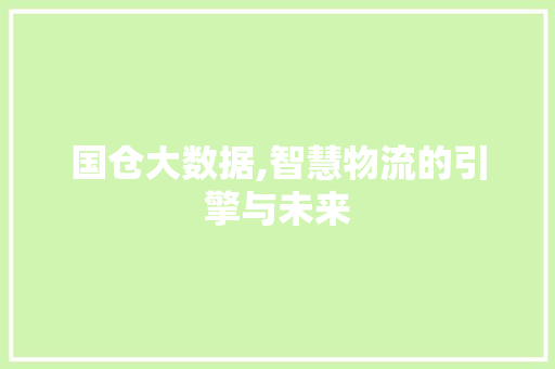 国仓大数据,智慧物流的引擎与未来