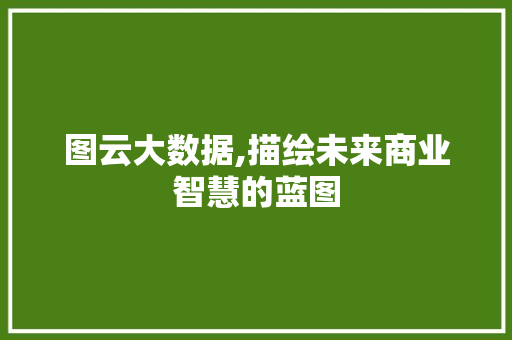 图云大数据,描绘未来商业智慧的蓝图
