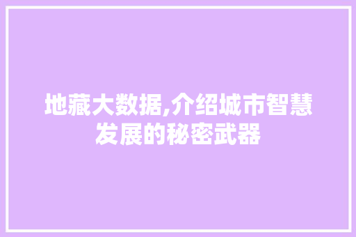 地藏大数据,介绍城市智慧发展的秘密武器 AI技术学习