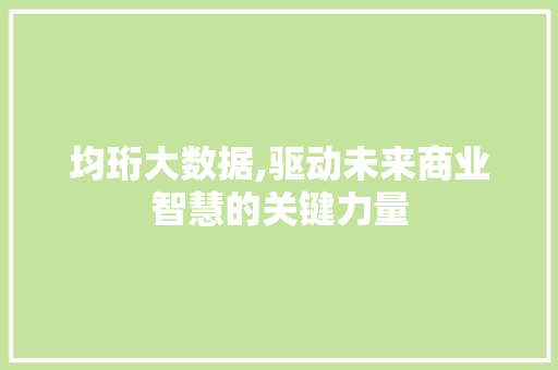 均珩大数据,驱动未来商业智慧的关键力量