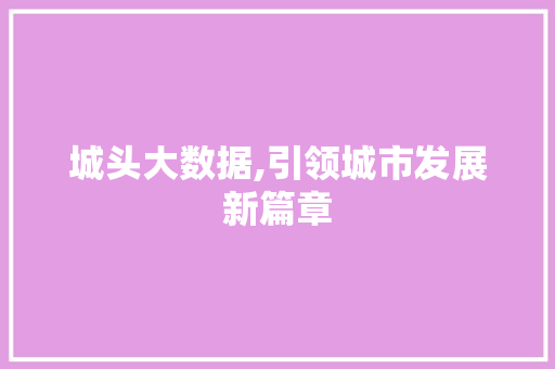 城头大数据,引领城市发展新篇章