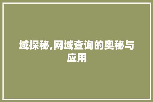 域探秘,网域查询的奥秘与应用 百度算法