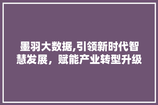 墨羽大数据,引领新时代智慧发展，赋能产业转型升级 小程序开发