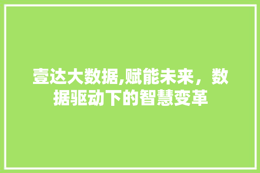 壹达大数据,赋能未来，数据驱动下的智慧变革 英文谷歌算法