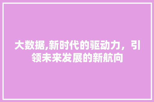 大数据,新时代的驱动力，引领未来发展的新航向 英文谷歌算法