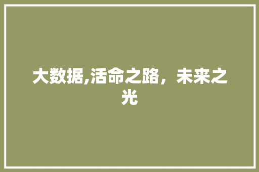 大数据,活命之路，未来之光 百度算法