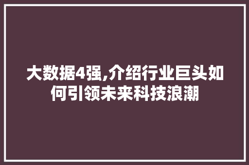 大数据4强,介绍行业巨头如何引领未来科技浪潮