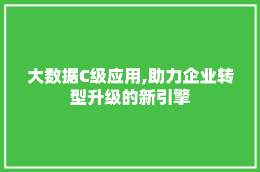 大数据C级应用,助力企业转型升级的新引擎 小程序开发