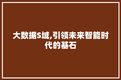 大数据S域,引领未来智能时代的基石 seo技术