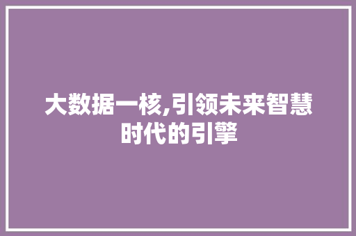 大数据一核,引领未来智慧时代的引擎