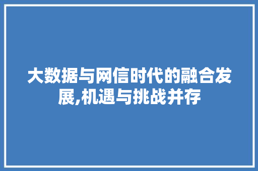 大数据与网信时代的融合发展,机遇与挑战并存