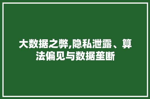 大数据之弊,隐私泄露、算法偏见与数据垄断