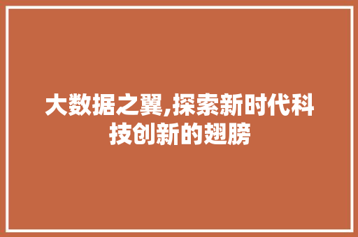 大数据之翼,探索新时代科技创新的翅膀