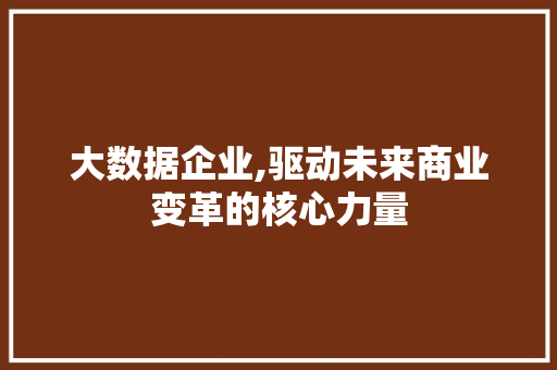 大数据企业,驱动未来商业变革的核心力量