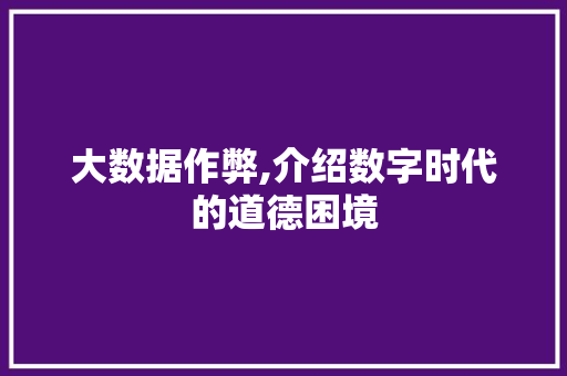 大数据作弊,介绍数字时代的道德困境 seo技术