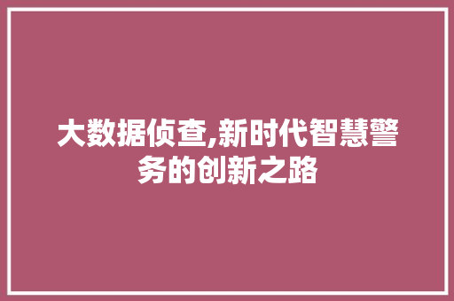 大数据侦查,新时代智慧警务的创新之路 英文谷歌算法