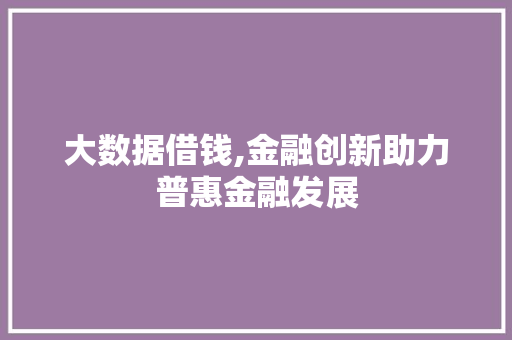 大数据借钱,金融创新助力普惠金融发展