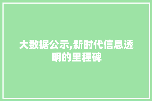 大数据公示,新时代信息透明的里程碑 英文谷歌算法