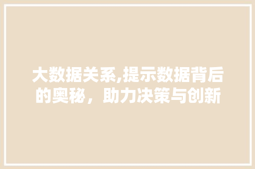 大数据关系,提示数据背后的奥秘，助力决策与创新