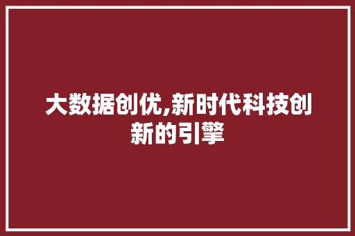 大数据创优,新时代科技创新的引擎 网站开发