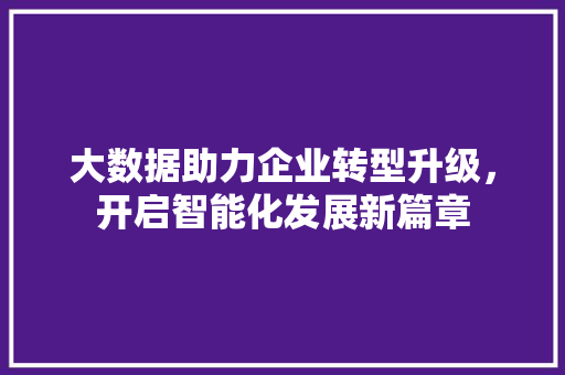 大数据助力企业转型升级，开启智能化发展新篇章 网站优化