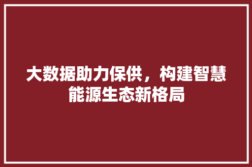 大数据助力保供，构建智慧能源生态新格局