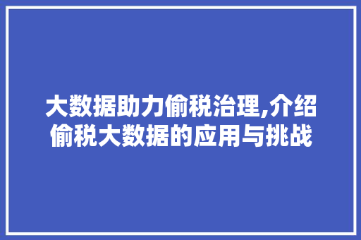 大数据助力偷税治理,介绍偷税大数据的应用与挑战 360搜优化