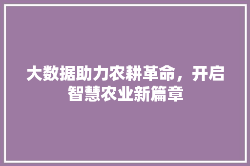 大数据助力农耕革命，开启智慧农业新篇章