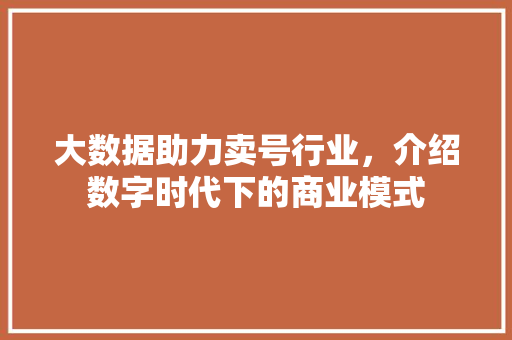 大数据助力卖号行业，介绍数字时代下的商业模式