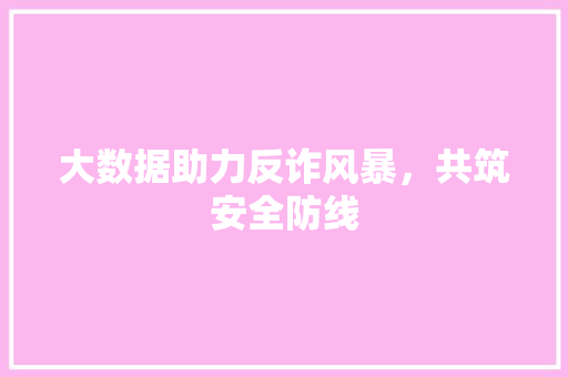 大数据助力反诈风暴，共筑安全防线