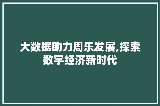 大数据助力周乐发展,探索数字经济新时代