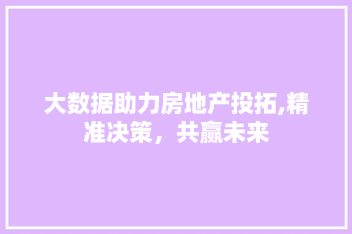 大数据助力房地产投拓,精准决策，共赢未来