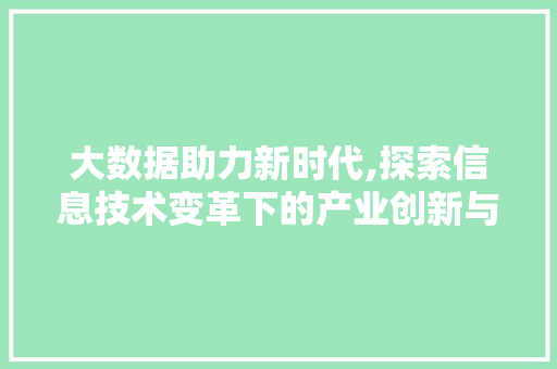 大数据助力新时代,探索信息技术变革下的产业创新与发展 网站优化