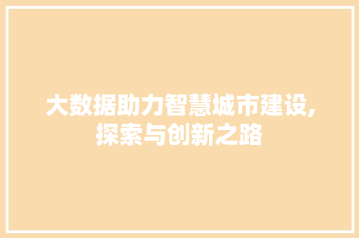 大数据助力智慧城市建设,探索与创新之路