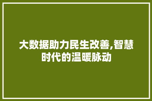大数据助力民生改善,智慧时代的温暖脉动