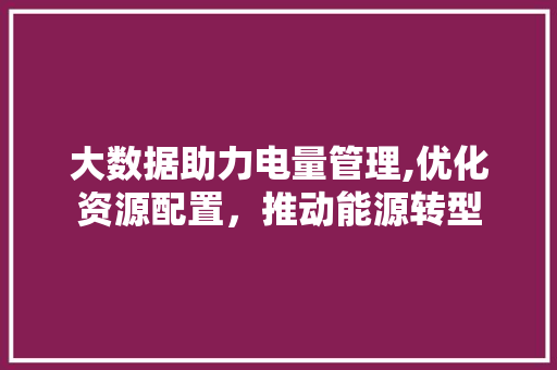 大数据助力电量管理,优化资源配置，推动能源转型