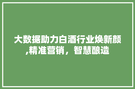 大数据助力白酒行业焕新颜,精准营销，智慧酿造
